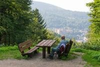 Tief durchatmen und die Natur genießen - Der Heidelberger Stadtwald hat das Zertifikat „Erholungswald“ erhalten. (Foto: Anspach)