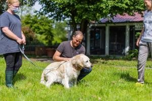 Oberbürgermeister Würzner streichelt einen im Tierheim untergebrachten Hund.