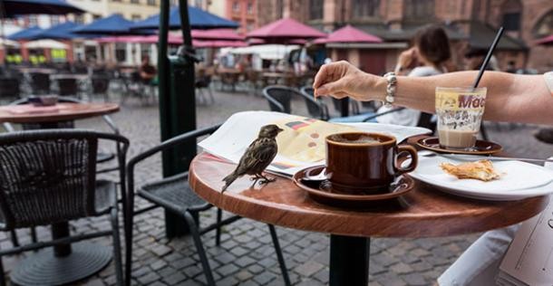 Kaffee in der Altstadt (Foto: Diemer)