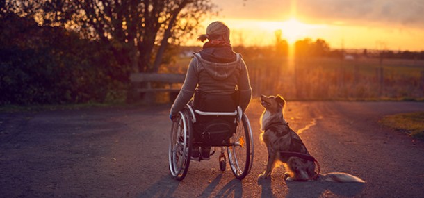 Frau im Rollstuhl mit Hund bei Sonnenuntergang 
