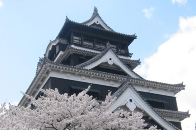 Kumamoto castle with cherry tree (picture: City of Kumamoto)