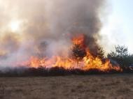 Vegetationsbrand (Foto: Feuerwehr Heidelberg)