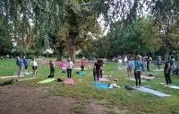 Menschen machen auf einer Wiese Yoga