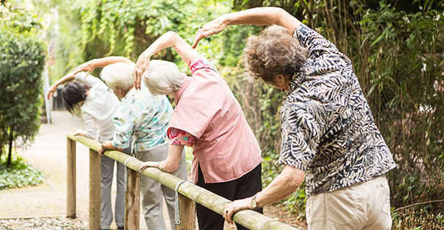 Sports and exercise activities for seniors (Photo: Arndt)