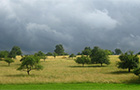 Nature Park Neckartal-Odenwald (Photo: City of Heidelberg)