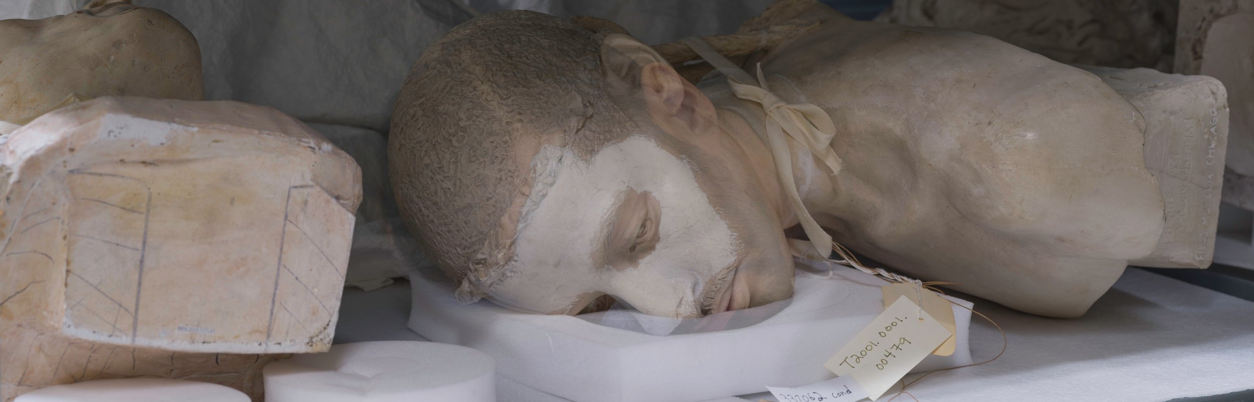 the bust of a North African man lies on the shelf of a museum archive