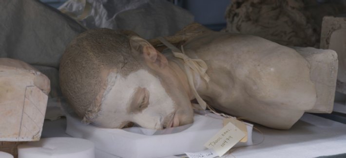 the bust of a North African man lies on the shelf of a museum archive