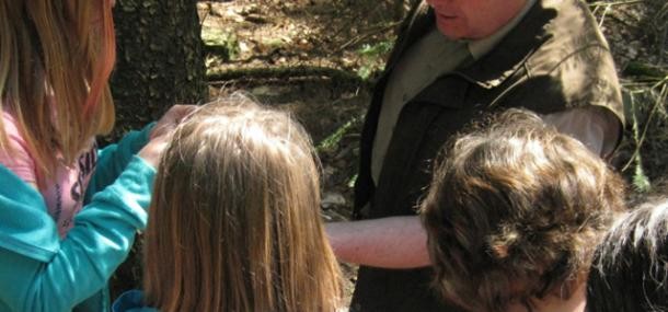 Kinder im Wald (Foto: Stadt Heidelberg) Kinder im Wald