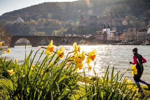 Heidelberg im Frühling (Foto: Heidelberg Marketing) Heidelberg im Frühling