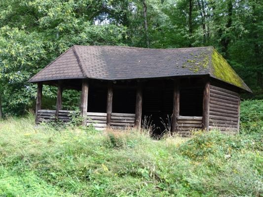 Bild der Hutzelwaldhütte