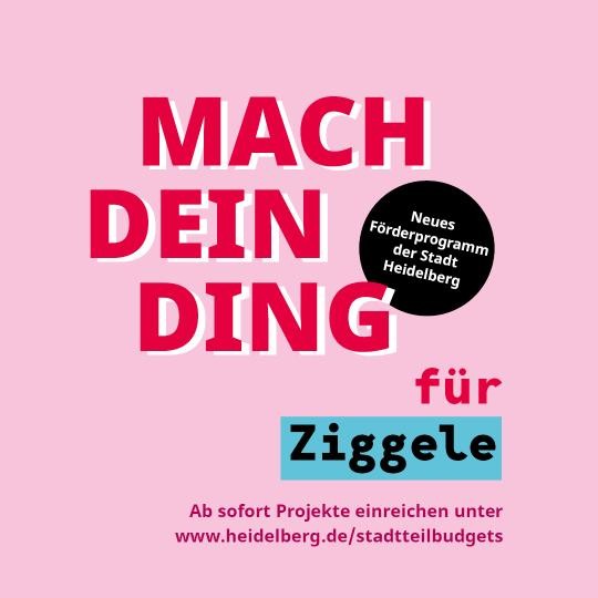 230721_SocialMedia_Stadtteilbudgets_Stadtteile3 - Ziggele