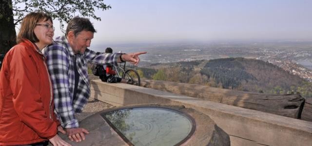 Den Blick über Heidelberg genießen und sich dabei über die Umgebung informieren – dank der Panoramatafel ist das wieder möglich. (Foto: Dorn)