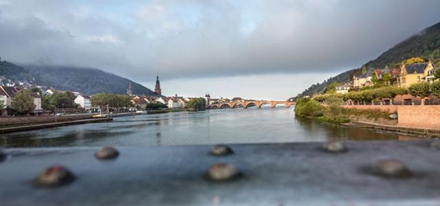 Blick auif Heidelberg von der Schleuse (Foto: Diemer)
