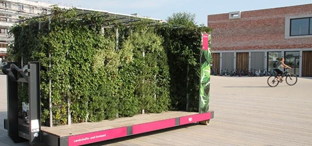 Im Test: Das „Mobile Grüne Zimmer“ steht ab Freitag, 9. August 2019, auf dem Kornmarkt. Zuvor stand es auf dem Gadamerplatz in der Bahnstadt (Foto: Stadt Heidelberg) 
