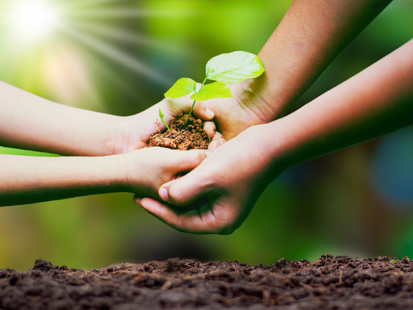 Pflanzentauschbörse der Stadtbücherei Heidelberg - Pflanzen, Saatgut und Wissen teilen – Stadtbücherei Heidelberg, 09.05.2026