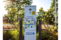 Elektroladesäule in Kirchheim (Bild: Stadtwerke Energie Heidelberg)
