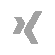 Xing-Logo