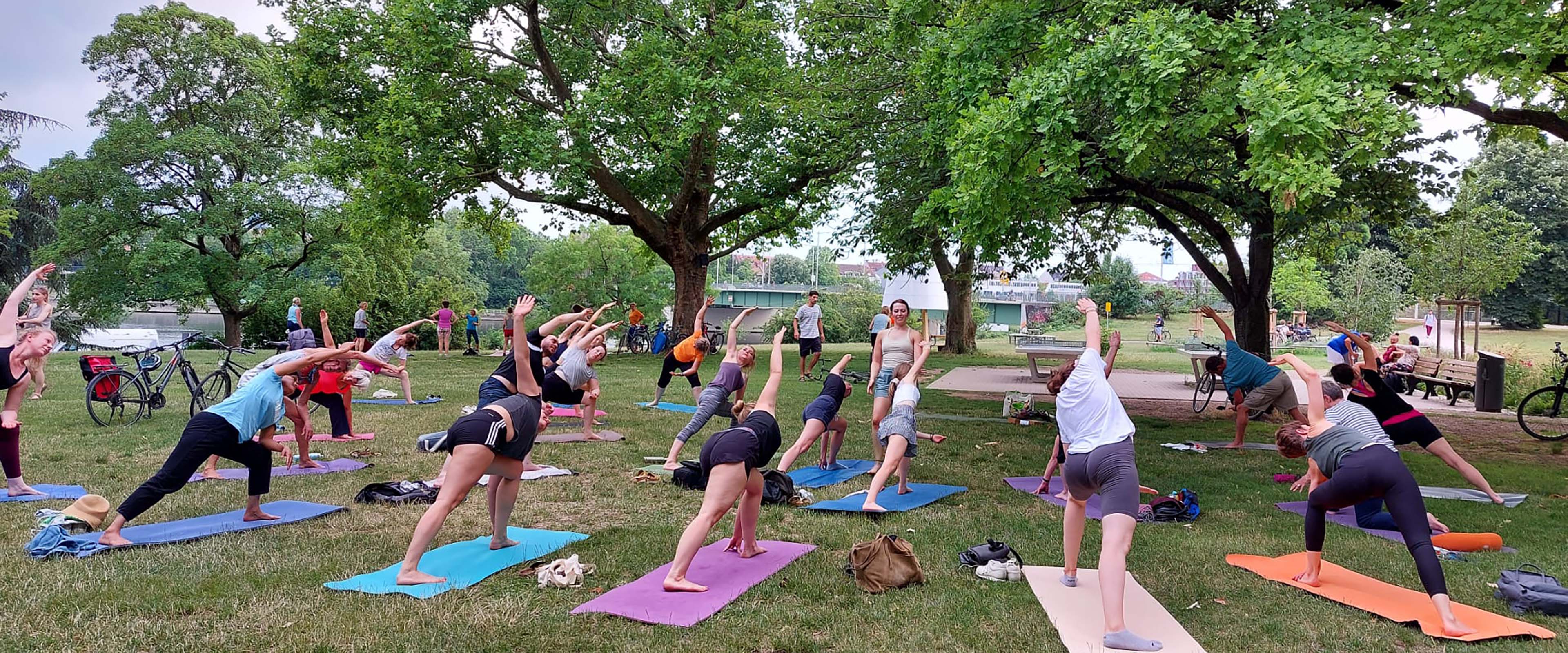 Menschen machen Yoga auf Wiese unter Bäumen