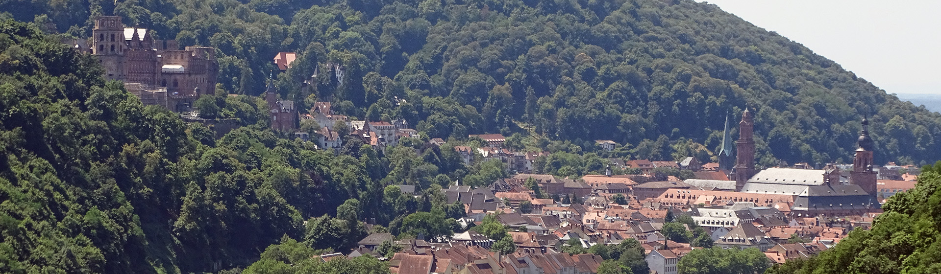 Heidelberger Schloss und Stadtwald.