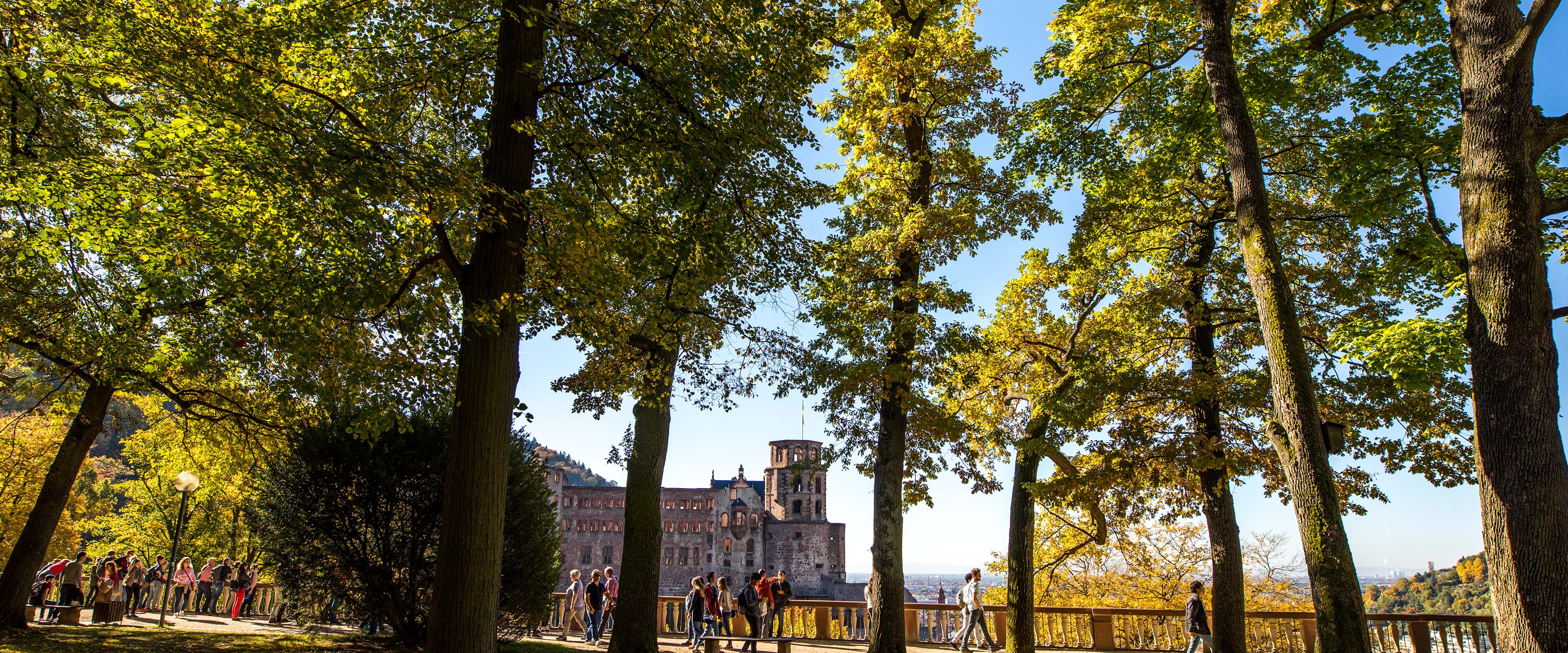 Heidelberger Sandstein-Schloss hinter Bäumen mit Herbstlaub und blauem Himmel