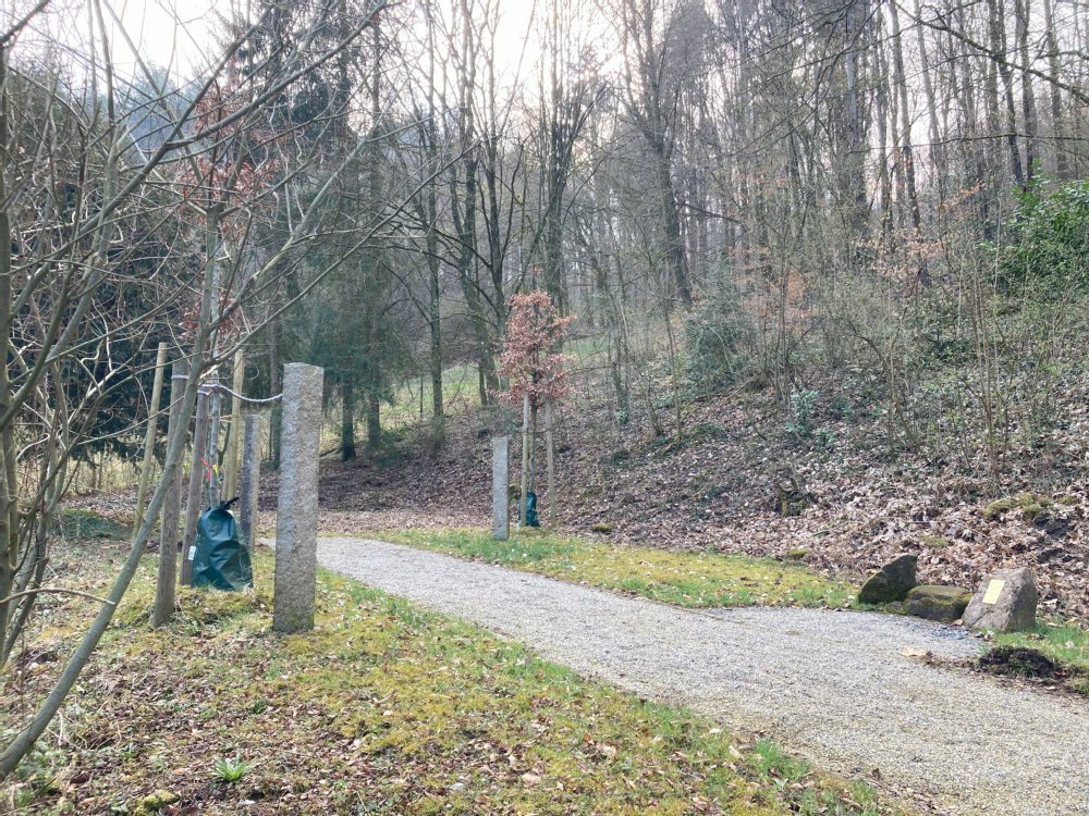 Stadt Heidelberg erweitert Angebot für Baumbestattungen