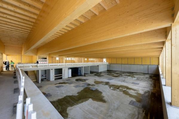 Holzbalken-Decke der neuen Turnhalle der Geschwister-Scholl-Schule