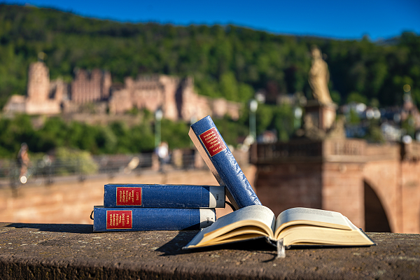 Bücher liegen auf der Alten Brücke in Heidelberg.