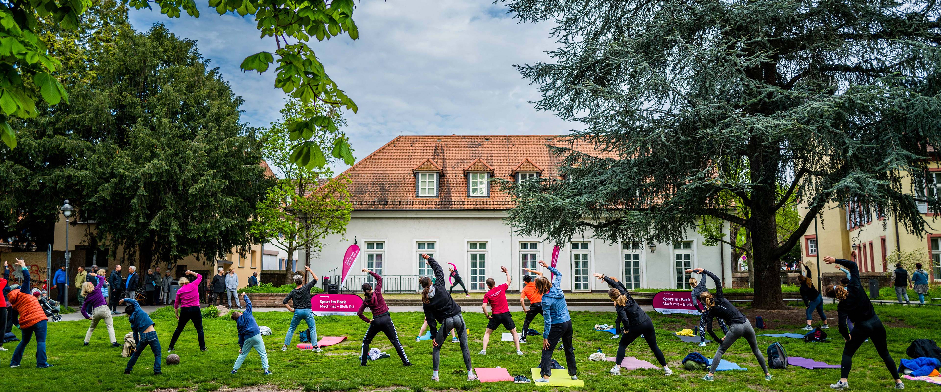 Menschen machen Gymnastik auf einer Wiese