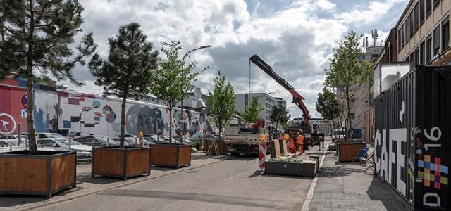 Kran stellt Container mit Bäumen in Straße auf