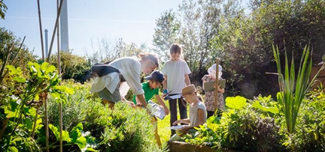 Kinder erkunden einen Garten