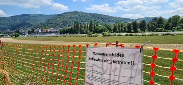 Abgezäunte Neckarwiese. Daran befestigt ein Schild. "Hochwasserschäden. Neckarwiese nicht betreten"