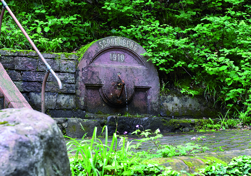 Wasserhahn an einer Mauer mit dem Schriftzug Schneeberg 1910