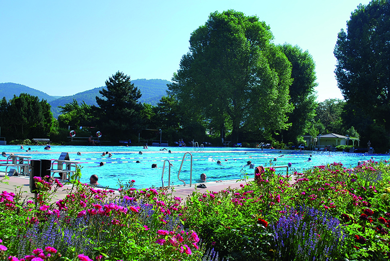 Freibad mit Blumenbeeten und BÄumen drumherum