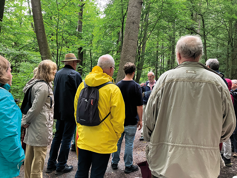 Gruppe spaziert im Wald